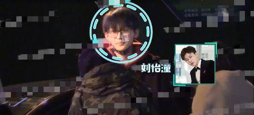 新浪娱乐爆料,明星幕后故事大揭秘  第3张